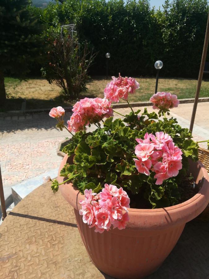 Villa Lulu Serino Kültér fotó